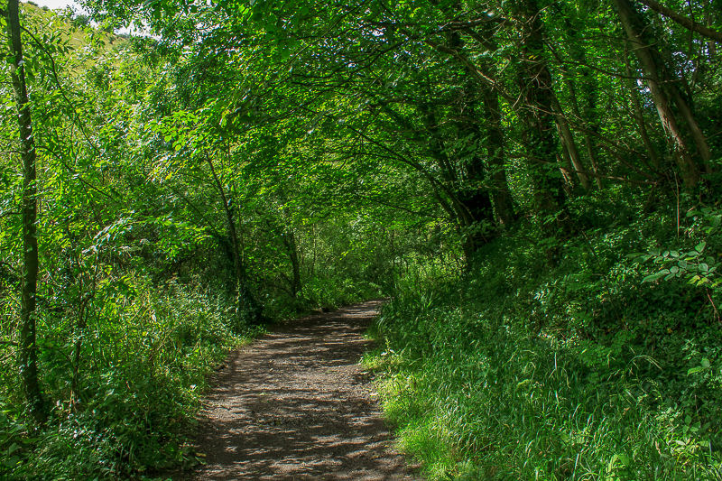 Miller's Dale